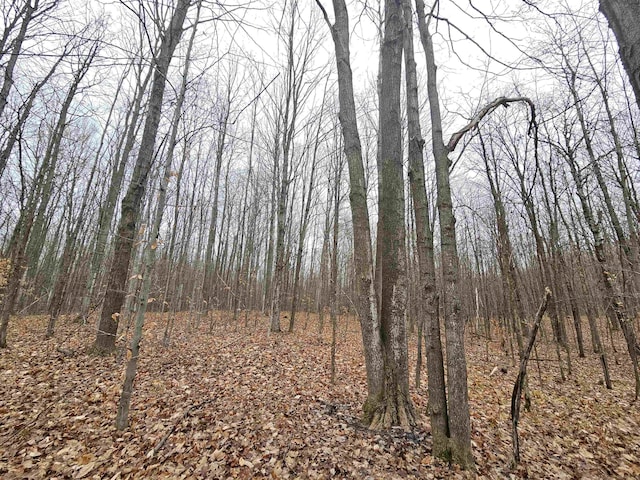00 Moorestown Rd, Lake City, MI 49651