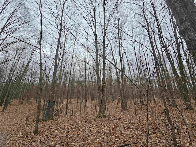 00 Moorestown Rd, Lake City, MI 49651