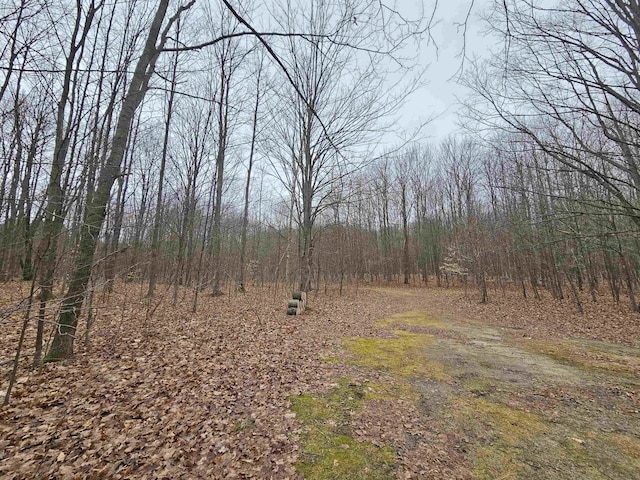 00 Moorestown Rd, Lake City, MI 49651