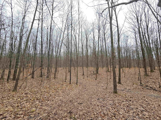 00 Moorestown Rd, Lake City, MI 49651