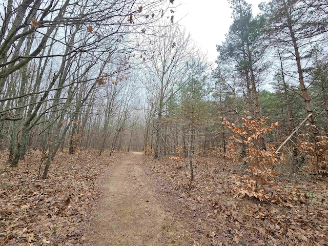 00 Moorestown Rd, Lake City, MI 49651