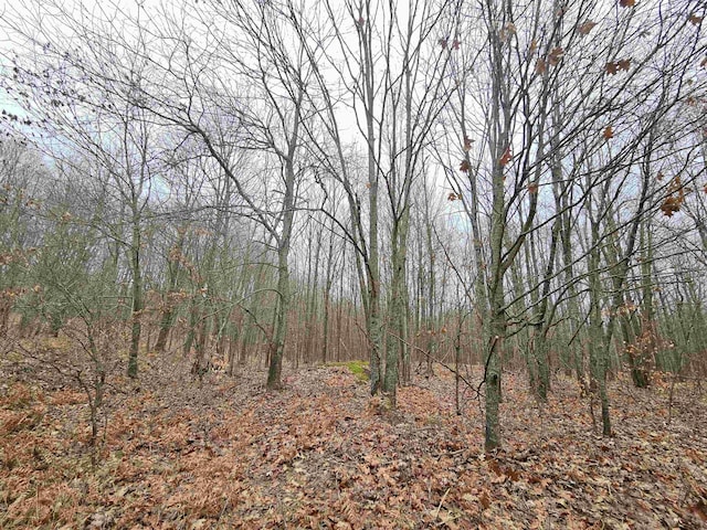 00 Moorestown Rd, Lake City, MI 49651