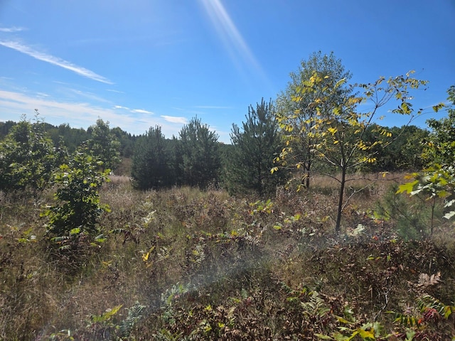 00 Moorestown Rd, Lake City, MI 49651