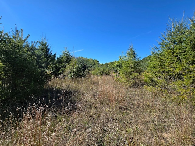 00 Moorestown Rd, Lake City, MI 49651