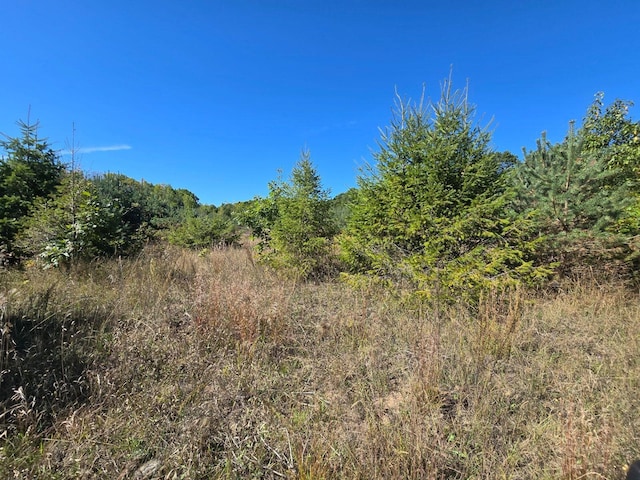 00 Moorestown Rd, Lake City, MI 49651