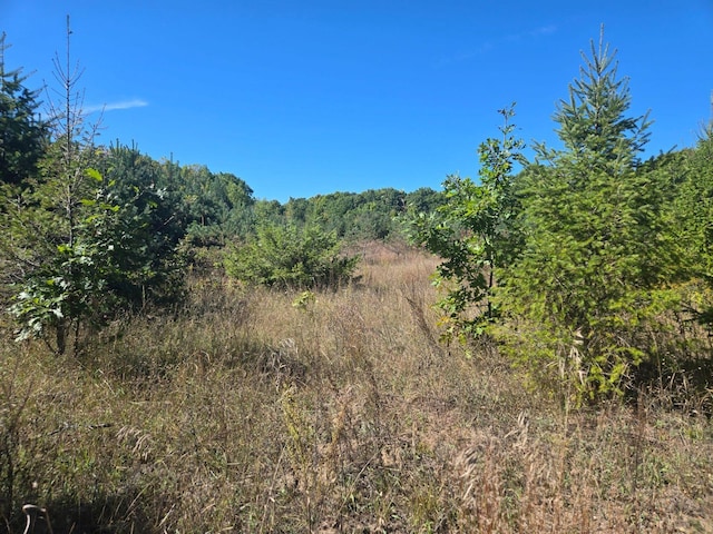 00 Moorestown Rd, Lake City, MI 49651