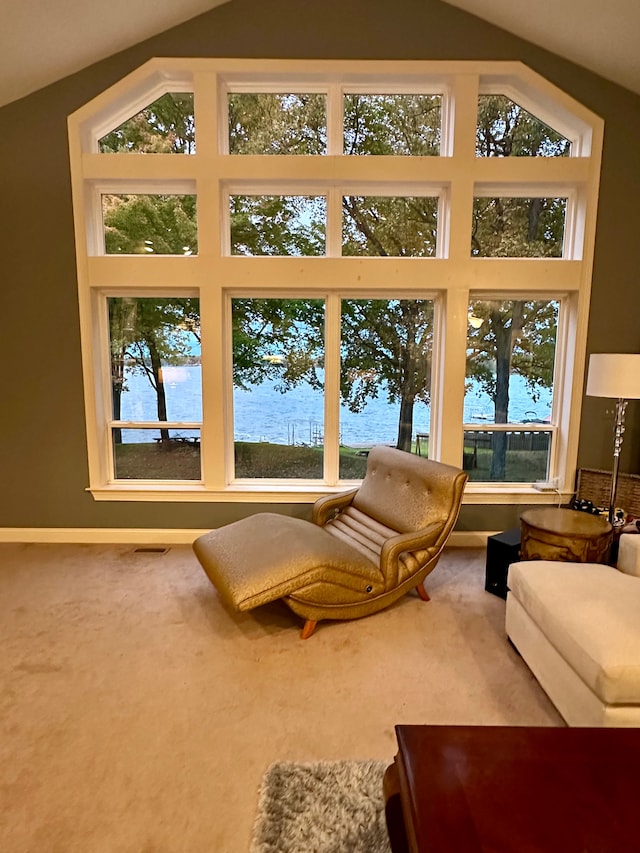 living area featuring plenty of natural light and vaulted ceiling