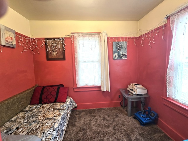 bedroom with carpet