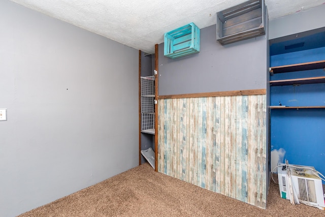 interior space featuring carpet and a textured ceiling