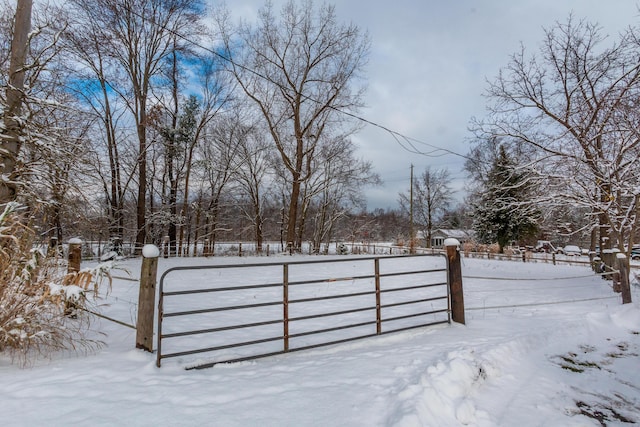 view of snowy yard