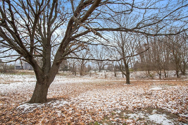 view of yard covered in snow