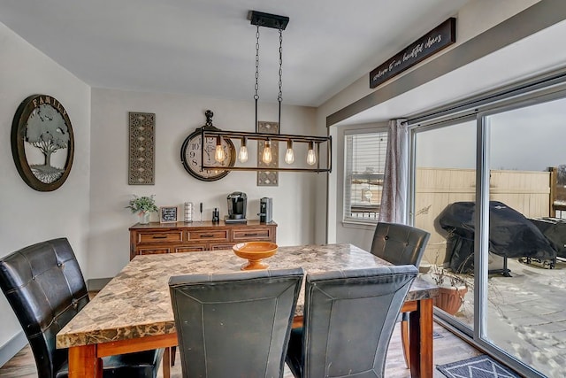 dining room with hardwood / wood-style flooring