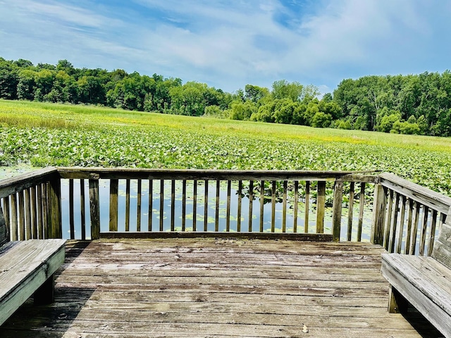 wooden terrace with a water view