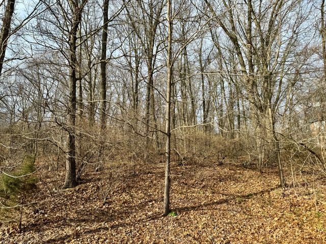 VACANTLAND9 Climbing Way, Pinckney, MI 48169
