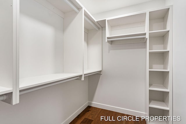 walk in closet with dark hardwood / wood-style flooring