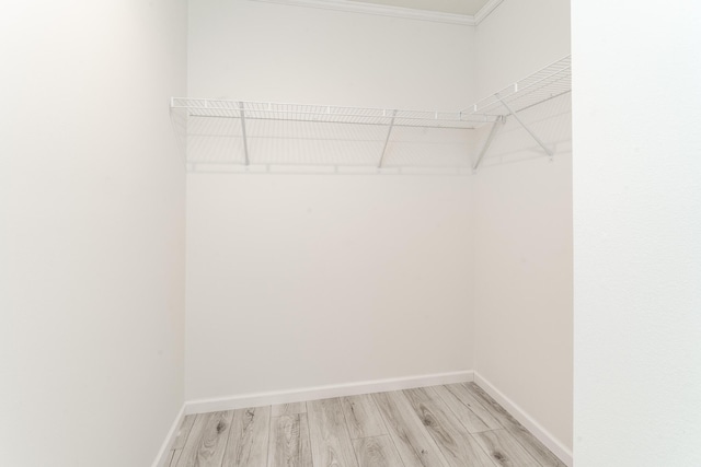 spacious closet featuring light wood-type flooring