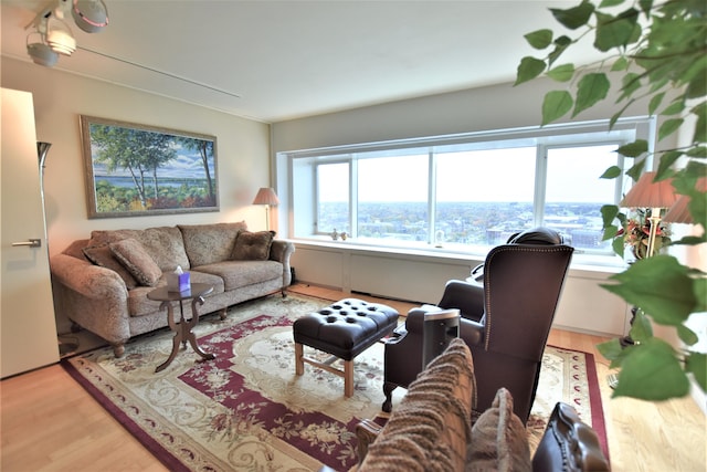 living room with light hardwood / wood-style floors