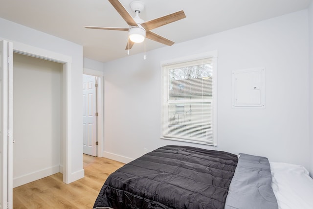 bedroom featuring light hardwood / wood-style flooring and ceiling fan