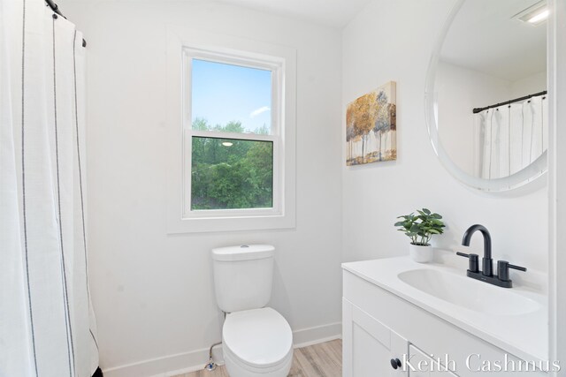 17513 M 140th Hwy, South Haven, MI 49090 - full bathroom featuring baseboards, vanity, wood finished floors, and toilet