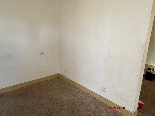 spare room with carpet floors