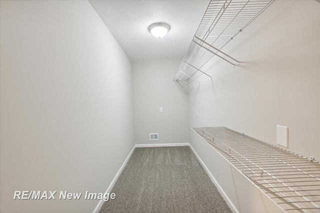 walk in closet with carpet floors