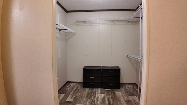 walk in closet with dark wood-type flooring