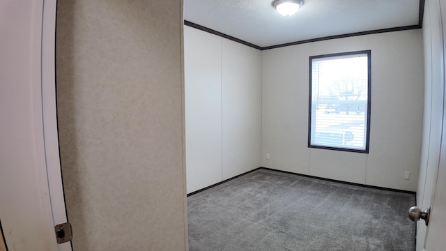 carpeted empty room with a textured ceiling and crown molding