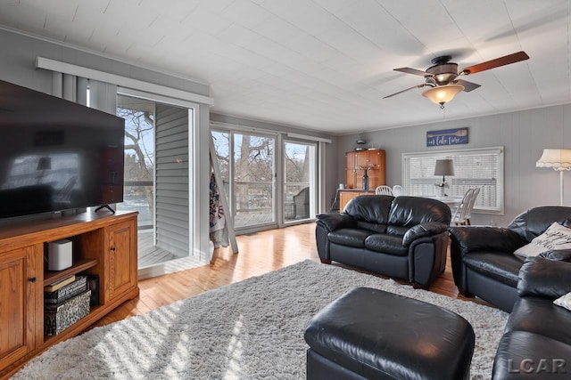 living room with ceiling fan and light hardwood / wood-style flooring