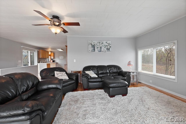 living room with ceiling fan, wood-type flooring, and crown molding