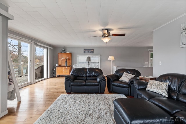 living room with ceiling fan and light hardwood / wood-style floors