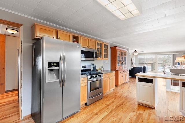 kitchen with ceiling fan, light wood-type flooring, ornamental molding, and appliances with stainless steel finishes