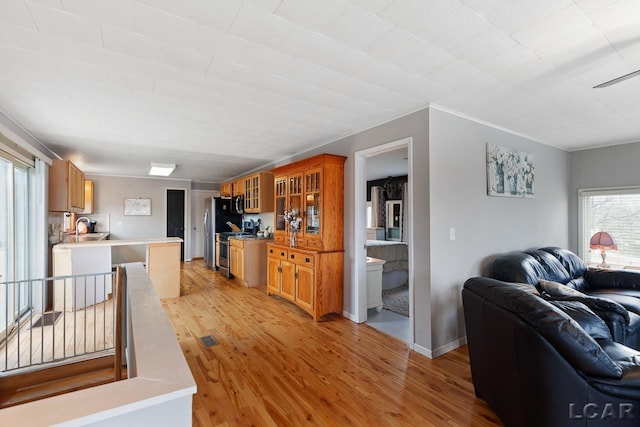 living room featuring light hardwood / wood-style floors, a wealth of natural light, and sink