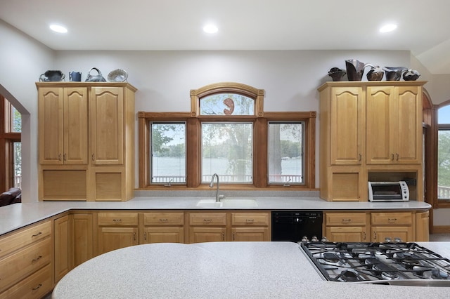 kitchen with a wealth of natural light, dishwasher, and sink