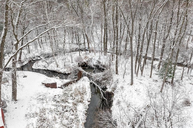 view of snowy landscape