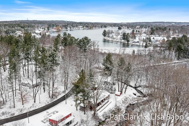 snowy aerial view with a water view