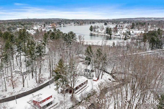 snowy aerial view with a water view