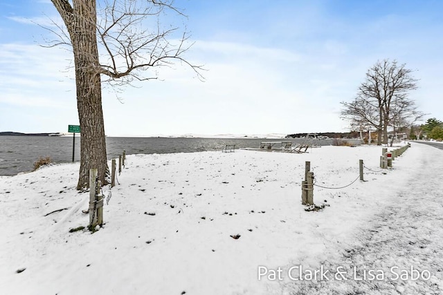 view of yard layered in snow