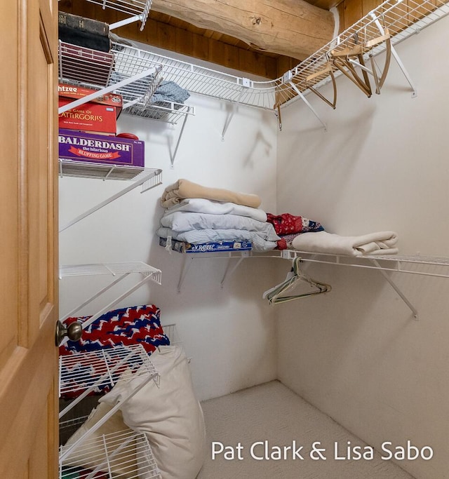 view of spacious closet