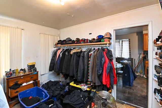 view of spacious closet