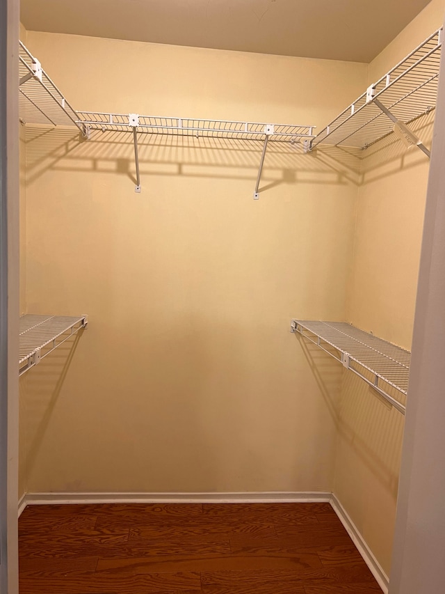 spacious closet with hardwood / wood-style floors