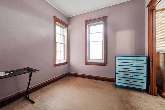 miscellaneous room featuring crown molding and carpet floors