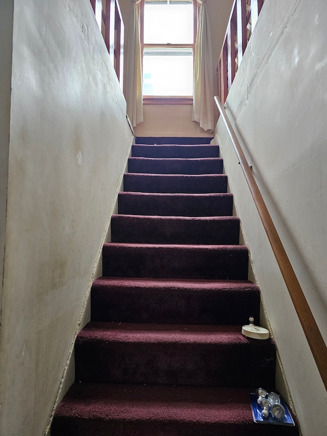 stairway featuring carpet flooring