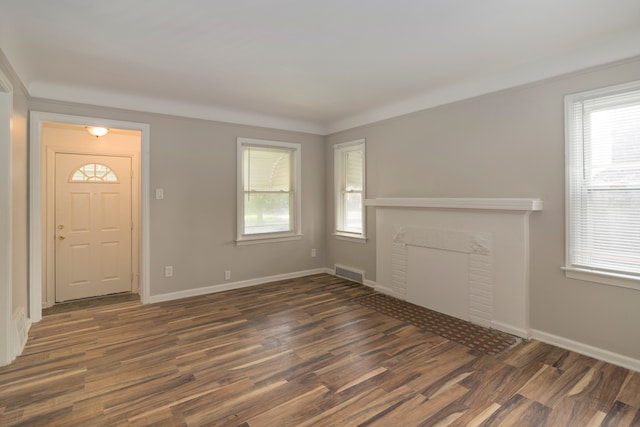 foyer entrance featuring plenty of natural light and dark wood-type flooring