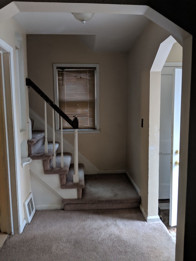 stairway featuring carpet floors