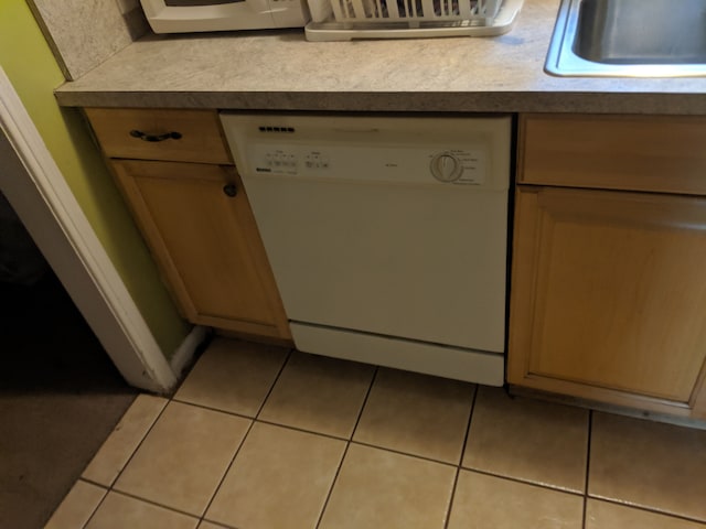 room details with dishwasher and sink