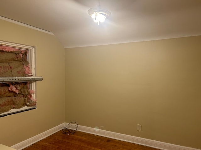 spare room featuring lofted ceiling and dark wood-type flooring