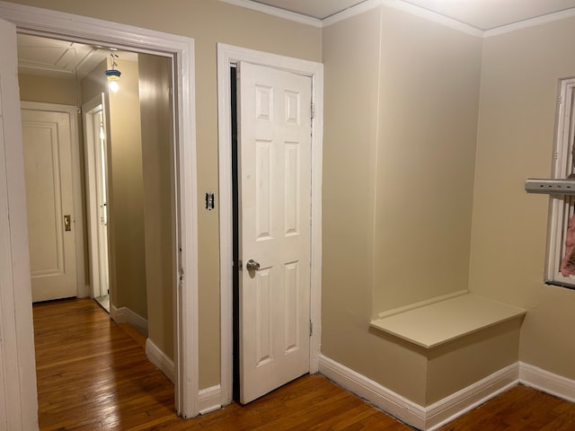 interior space featuring wood-type flooring and ornamental molding