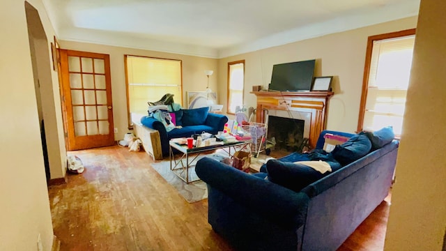 living room with hardwood / wood-style flooring