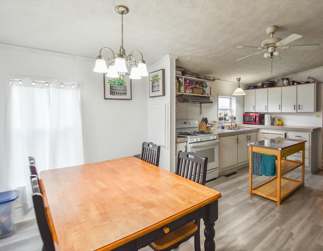 dining area featuring ceiling fan with notable chandelier, a textured ceiling, light wood-type flooring, and sink