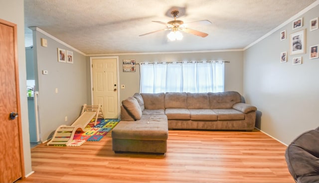 living room featuring a textured ceiling, light hardwood / wood-style floors, ceiling fan, and crown molding